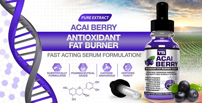 Choose The Best Acai Berry Products To Lose Weight