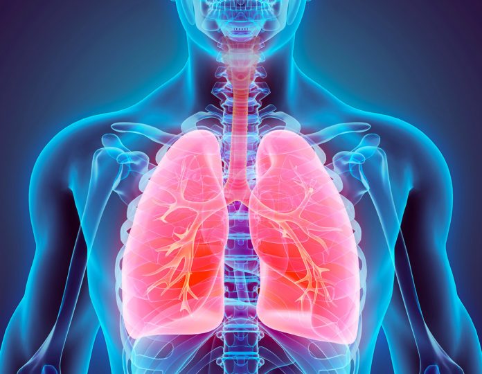 Which You Have To Do if Keep Your Lungs Healthy And Normal