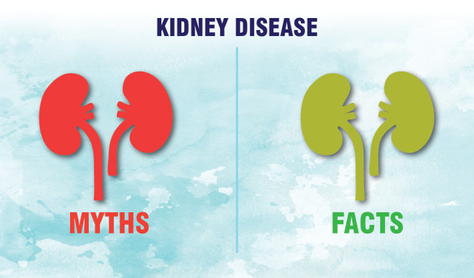 5 Myths and Misconceptions of Kidney Disease